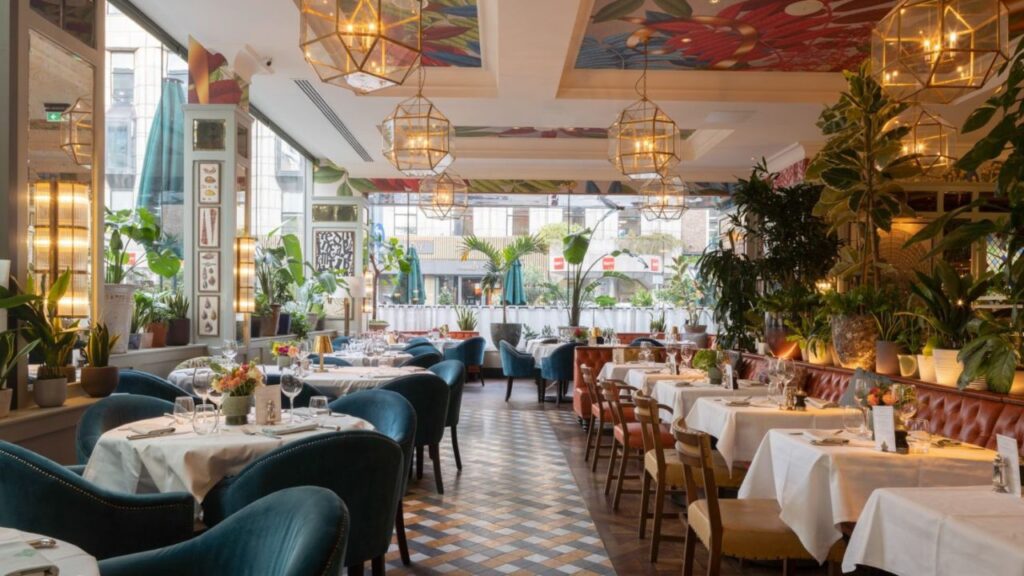 Elegant dining room at The Ivy Dawson Street the perfect setting for Christmas lunch in Dublin